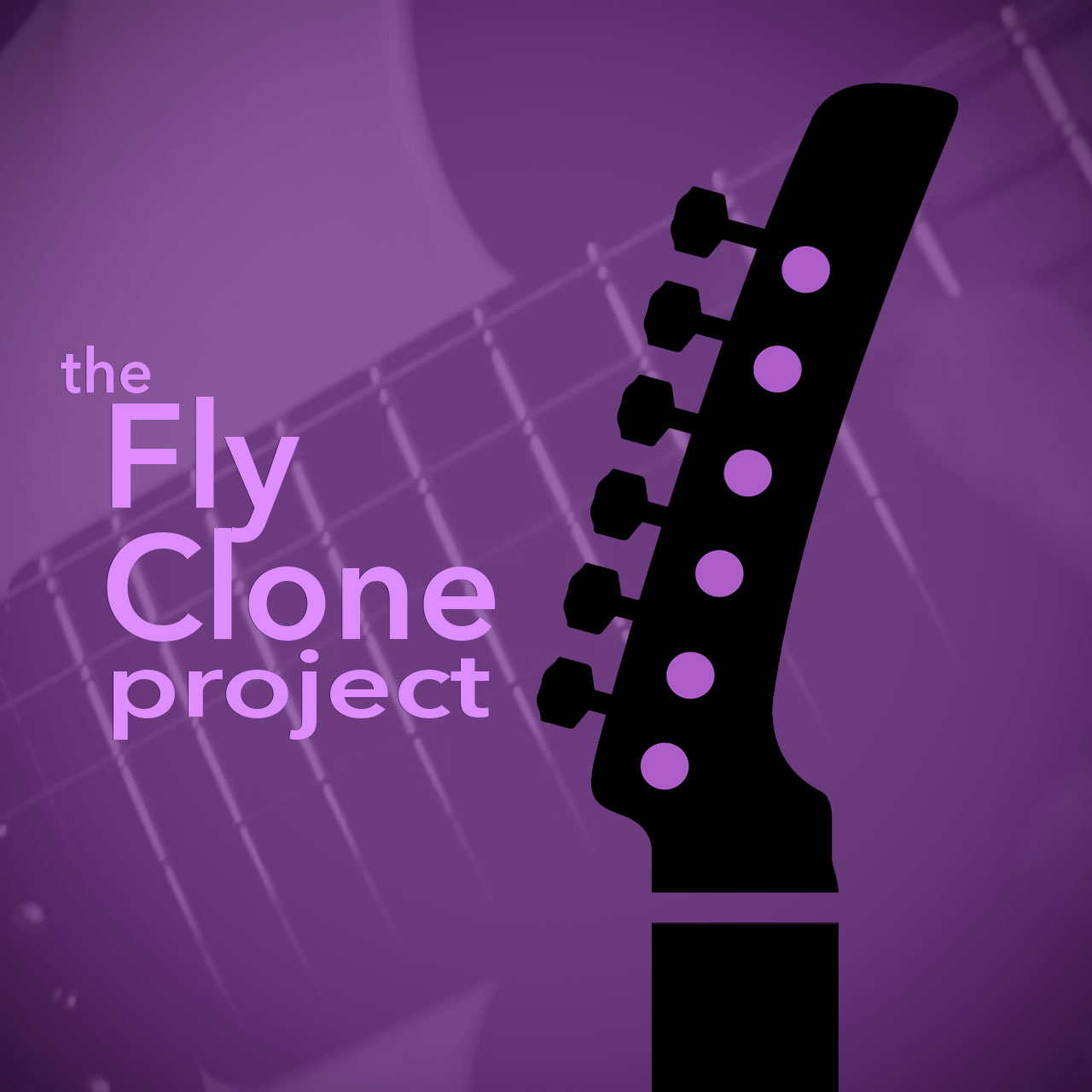 the Fly Clone project